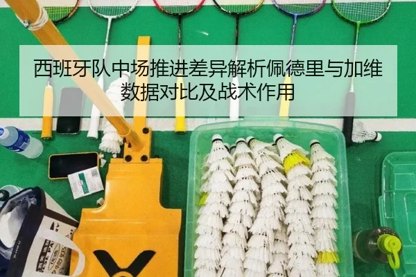 西班牙队中场推进差异解析佩德里与加维数据对比及战术作用