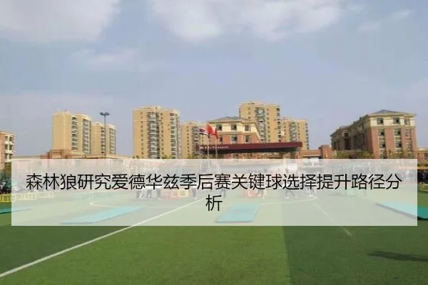 森林狼研究爱德华兹季后赛关键球选择提升路径分析