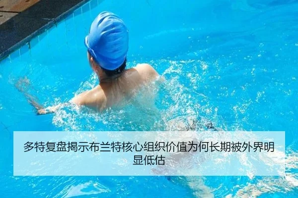 多特复盘揭示布兰特核心组织价值为何长期被外界明显低估